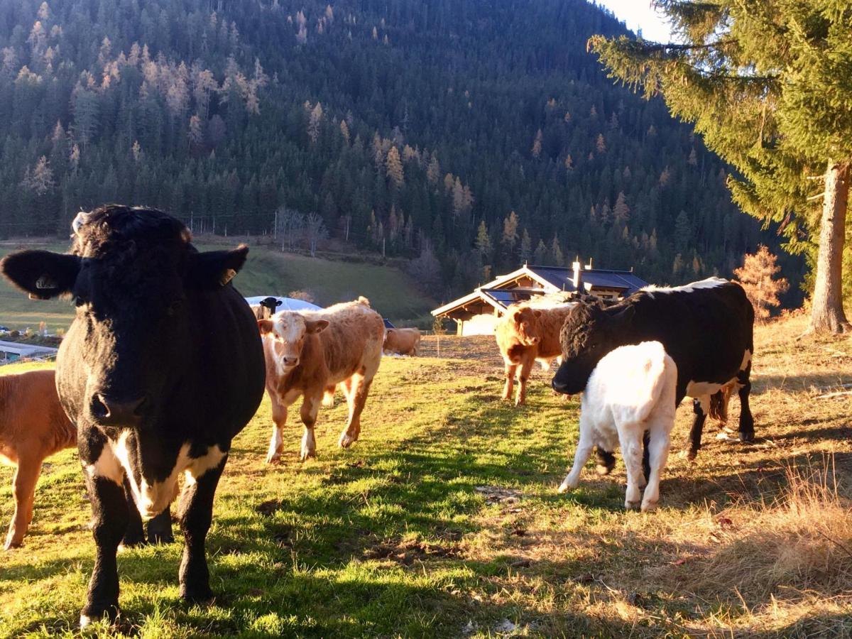 Traumblick Dachstein Radstadt Exterior foto
